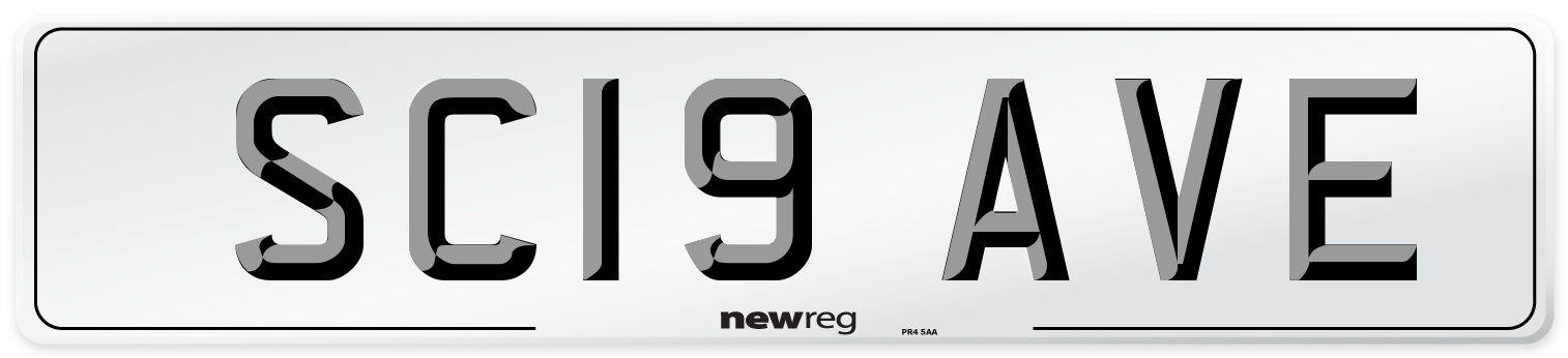 SC19 AVE Number Plate from New Reg